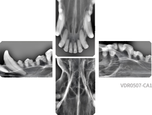 VDR0507-CA1 رەسىملىرى