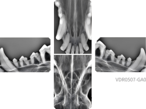 VDR0507-GA0 رەسىملىرى